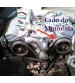 Proteção Esquerda Correia Dentada Pajero Full 3.8 V6 C/detal
