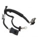 Chicote Bateria Alternador C4 Cactus 1.6 Aspirado 2021