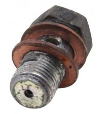 Parafuso Do Flexível Do Cilindro De Embreagem Tr4 2002/2015